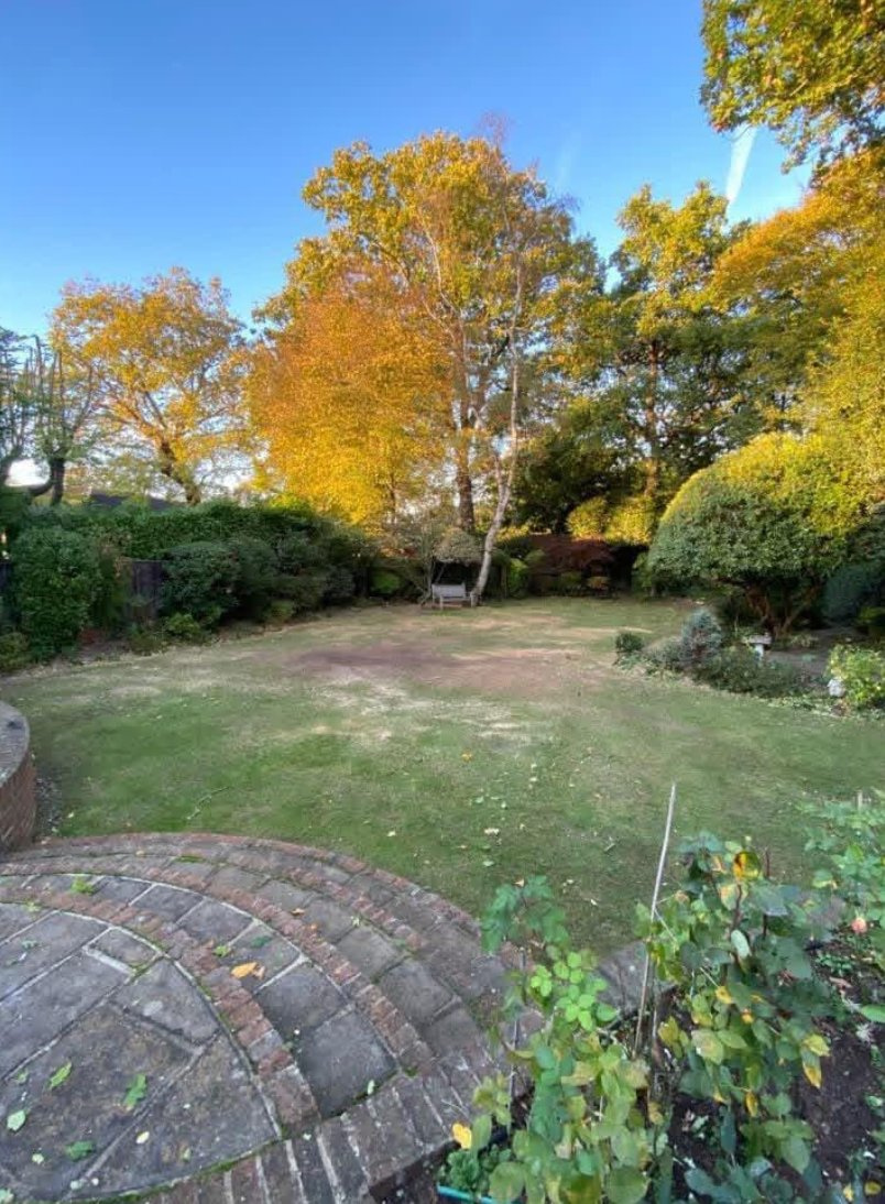 Autumn garden tidy