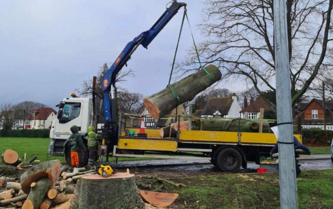 Timber craned away