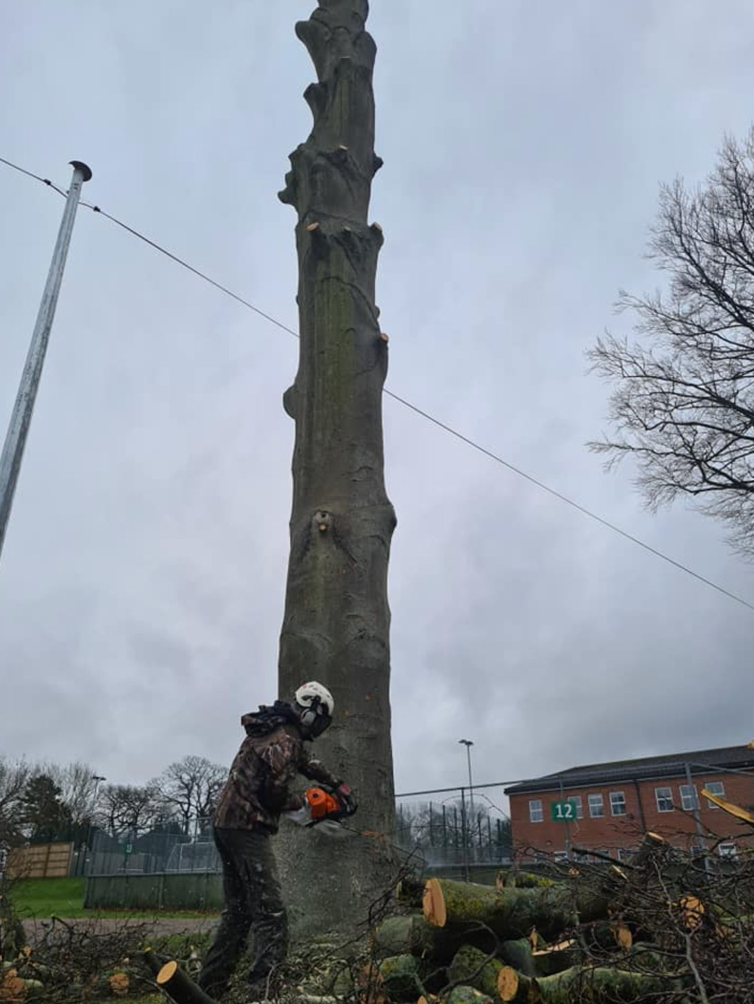 Emergency Tree Surgeon