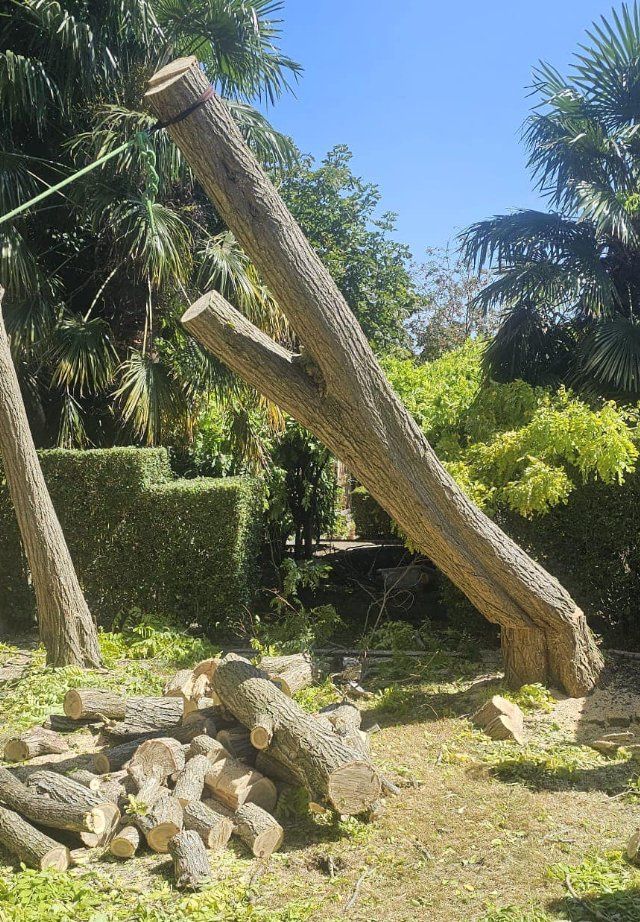 Sectional felling